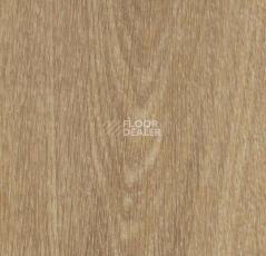 Кварцвиниловые полы Forbo Allura Click Pro 60284CL5 natural giant oak фото 1 | FLOORDEALER